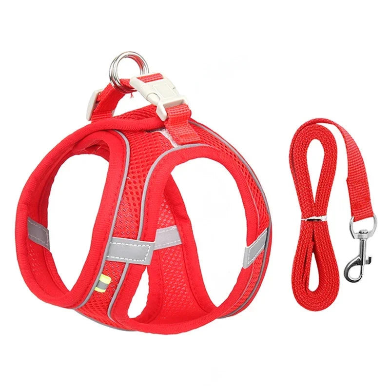 Animoo Adjustable Vest, Leash & Collar Puppy Harness Set
