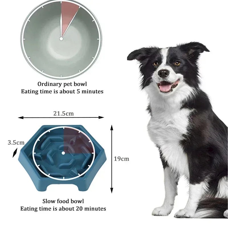 Animoo Anti-Choking Slow Feeder Dog Bowl