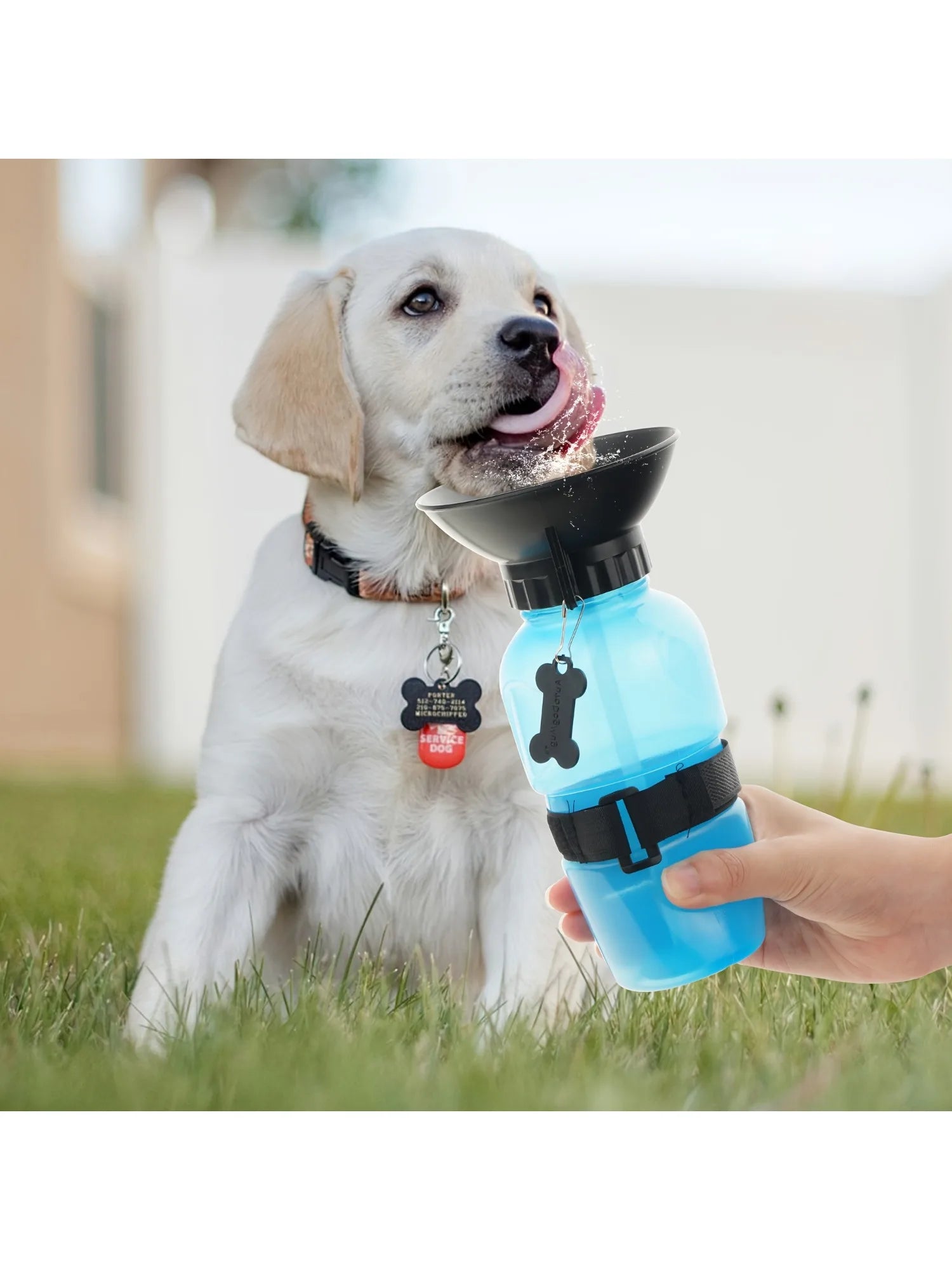Animoo Portable Dog Water Bottle
