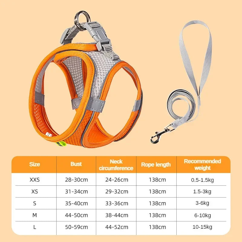 Animoo Adjustable Vest, Leash & Collar Puppy Harness Set