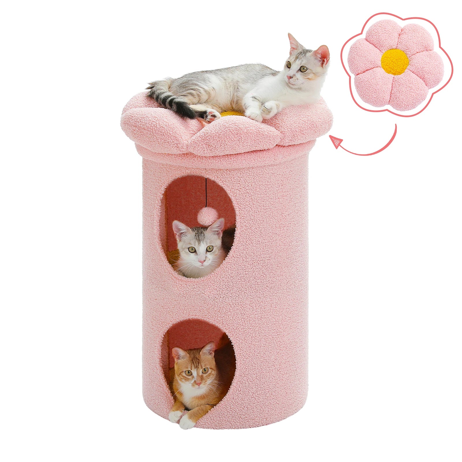 Animoo